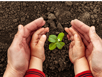 A young man and a child hold a small tree in their hands  Concept of world environment day  Four hands hold a light green tree  Father and son plant a plant