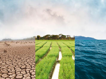 Climate change, compare image with Drought, Green field and Ocean metaphor Nature disaster, World climate and Environment, Ecology system 